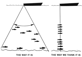 How a fishfinder shows fish